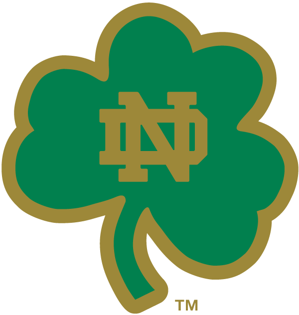 Notre Dame Fighting Irish 1994-Pres Alternate Logo t shirts DIY iron ons v15